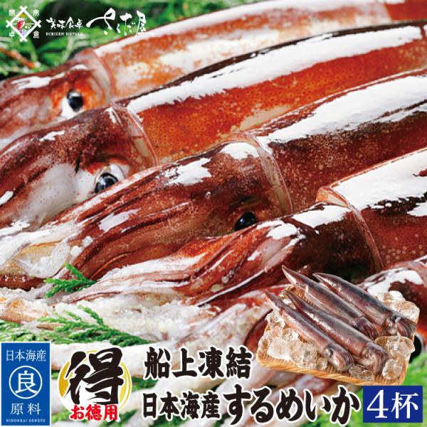 バーベキューセット 海鮮 BBQセット 日本海 するめいか 4杯 船凍イカ 冷凍便  爆買