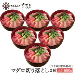 マグロ切り落とし 厳選鮪2種類たっぷり 600g