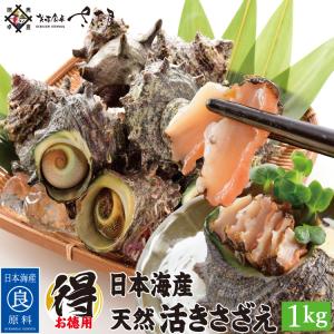 海鮮 BBQセット バーベキューセット 日本海産 天然活さざえ