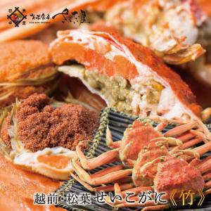 せいこがに 越前せいこがに 松葉せいこがに 竹 7 000円コース せいこ蟹 せこがに 越前産 山陰産 冷蔵便 爆買  父の日 ギフト