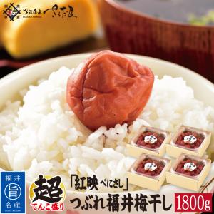 梅干し無添加 昔ながらの梅干し10kg 樽入り 和歌山県産 紀州南高梅