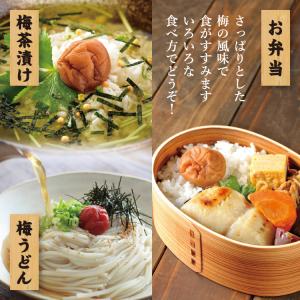 梅干ししそ漬け 訳あり 添加物不使用 福井県産...の詳細画像4