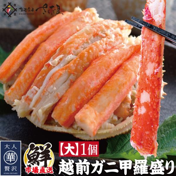 ズワイガニ 甲羅盛り 越前がに 大サイズ ずわいがに 本ズワイ 冷凍便  爆買