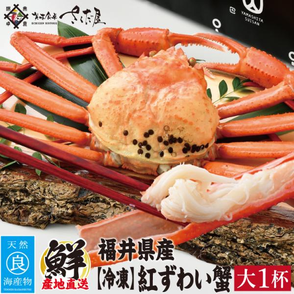 越前産 茹で紅ズワイガニ姿 大1杯【冷凍便】700g〜800g 蟹鍋  爆買