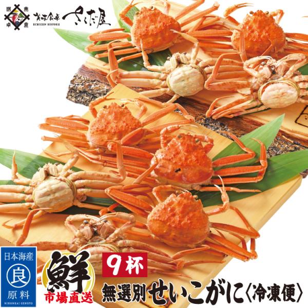 数量限定 冷凍せいこがに 越前せいこがに 松葉せいこがに 無選別せいこ蟹 9杯入り 越前産 山陰産 ...