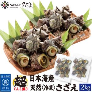 海鮮 BBQセット 日本海産 冷凍さざえ 徳用2kgガンガン焼き