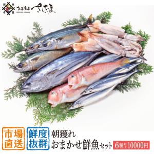 鮮魚セット 鮮魚ボックス 10000円コース 鮮魚 詰め合わせ 直送 6種以上 詰め合わせ 下処理 冷蔵便 爆買母の日 ギフト