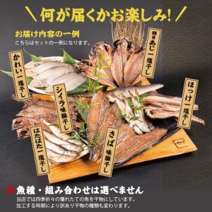 【訳あり】国産 干物 6種合計28枚以上 産地...の詳細画像2