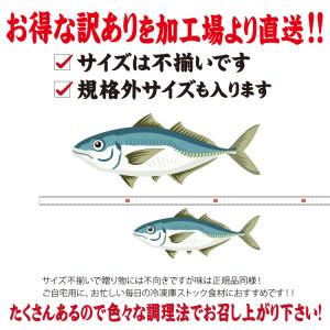 【訳あり】国産 干物 6種合計28枚以上 産地...の詳細画像4