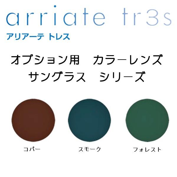 オプション用 染色 カラー レンズ交換  アリアーテトレス サングラス