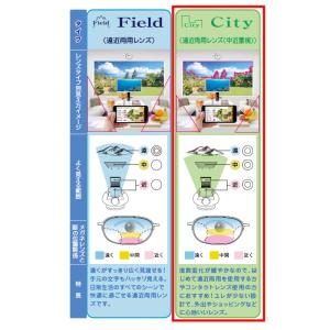 HOYA ホーヤ 遠近両用 内面累進 中屈折1...の詳細画像1
