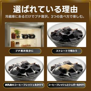 ゼリー コーヒーゼリー こだわり BRIJU ...の詳細画像2