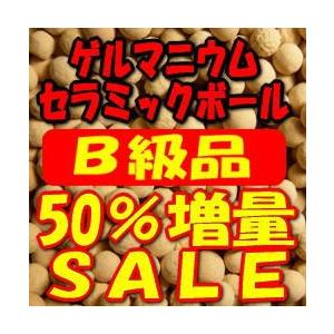 ｂ級品 ゲルマニウムセラミックボール 4 7ｍｍ 1500g Societyturn Com