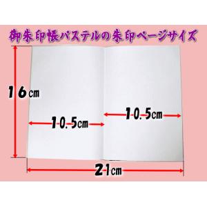 朱印帳 パステル 草色 No1の詳細画像3