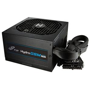 FSP ATX電源 650W80PLUS GOLD認証 Hydro GSM Lite PROシリーズ HGS-650M