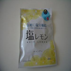 送料無料 熱中飴 塩レモンキャンディ７０ｇ ２０袋 Pokerpost Fr