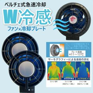 2025年新商品 さくら電子 12Vペルチェフ...の詳細画像1