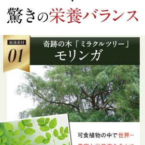 青汁 1ヶ月分 1.8g×30本 1袋 摘みた...の詳細画像5