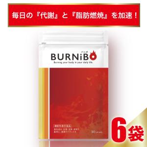 3袋セット 】 スラレグ 27g ( 300mg × 90粒 ) さくらの森 さくら
