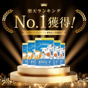 犬 歯磨き 犬 歯石 犬 歯垢 犬 口臭 歯磨...の詳細画像1