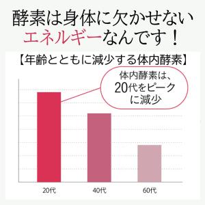 酵素 酪酸菌 ダイエット サプリ 食物繊維 乳...の詳細画像3