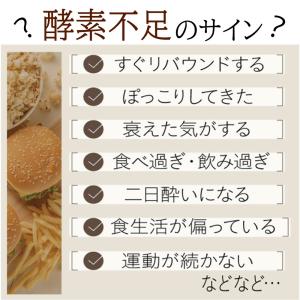 酵素 酪酸菌 ダイエット サプリ 食物繊維 乳...の詳細画像2