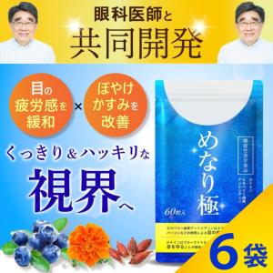 キラリズム 【 2袋セット 】 スリリン ファイア SLILIN F 22.5g