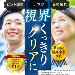 ルテイン サプリ アイケア 目 ブルーベリー ...の詳細画像1