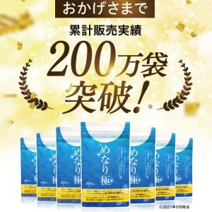 ルテイン サプリ アイケア 目 ブルーベリー ...の詳細画像4