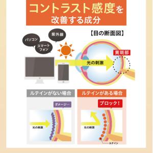 ルテイン サプリ アイケア 目 ブルーベリー ...の詳細画像5