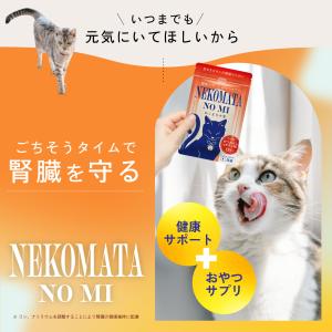 猫 ねこ ネコ 腎臓 サプリ シャンピニオンエ...の詳細画像5
