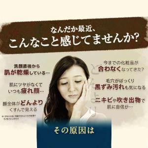 洗顔 石鹸 スキンケア ヴァージンココナッツオ...の詳細画像4