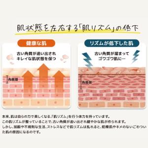 洗顔 石鹸 スキンケア ヴァージンココナッツオ...の詳細画像5