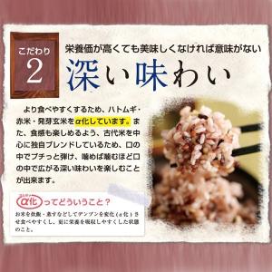 雑穀米 穀物三昧500g 鉄分 ビタミン ミネ...の詳細画像4