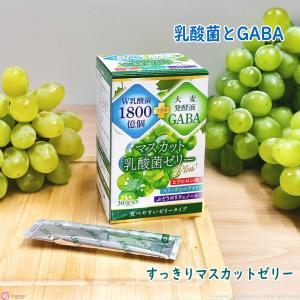 SHISEIDO（資生堂） 長命草 タブレットN : マツモト化粧品店 - 通販
