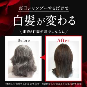 白髪染めシャンプー KUROクリームシャンプー...の詳細画像5