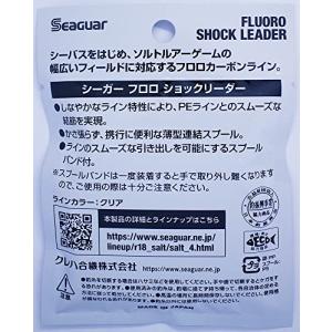 シーガー(Seaguar) リーダー シーガー...の詳細画像1