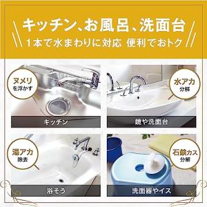サンスター 水まわり用輝き洗剤キーラ 水垢落と...の詳細画像3