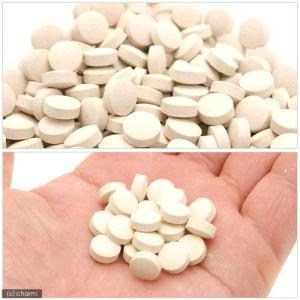 三晃商会 SANKO ビタミンCサプリ (お徳用)の詳細画像1