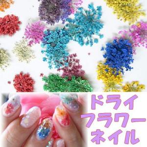 ネイル セルフネイル ドライフラワー セルフパーツ ...