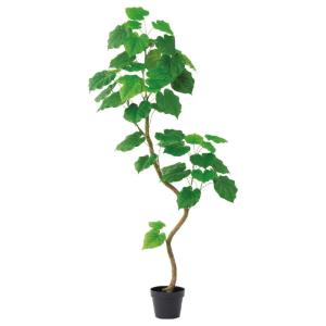 人工観葉植物 ウンベラータ （ポット付き） グリーン 高さ150cm （P274-a51107) （代引き不可）｜sakura-soleil