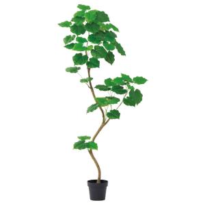 人工観葉植物 ウンベラータ （ポット付き） グリーン 高さ180cm （P274-a51108) （代引き不可）