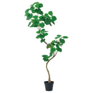 人工観葉植物 ウンベラータ （ポット付き） グリーン 高さ210cm （P274-a51109) （代引き不可）｜sakura-soleil