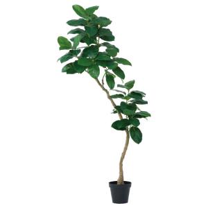 人工観葉植物 ゴムの木 （ポット付き） グリーン 高さ210cm （P275-a51118) （代引き不可）｜sakura-soleil