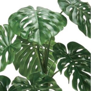 人工観葉植物 モンステラ ジョイント ポット ...の詳細画像1