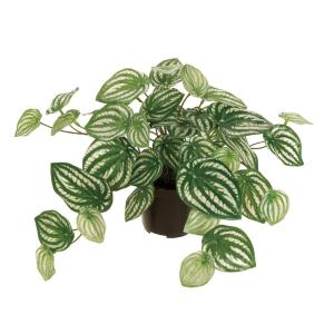 人工観葉植物 ユッカ ロストラータ ポット 120 人工観葉植物 ユッカ ロストラータ ポット 120 （1個入り） MIRAKANA
