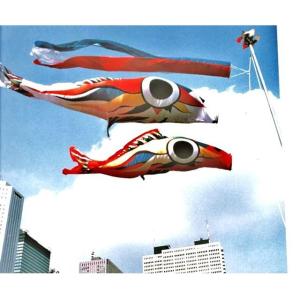 岡本太郎　こいのぼり 鯉のぼり 岡本太郎鯉のぼり 岡本太郎ミュージアム限定品 大型鯉