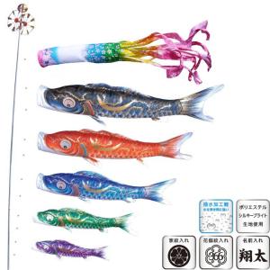 鯉のぼり 岡本太郎鯉のぼり 岡本太郎ミュージアム限定品 大型鯉庭園用