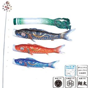 鯉のぼり 岡本太郎鯉のぼり 岡本太郎ミュージアム限定品 大型鯉庭園用