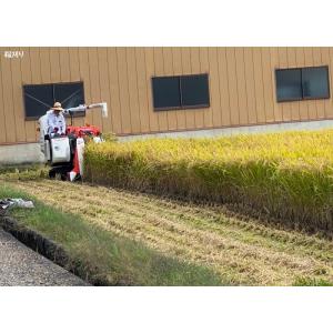 令和7年産 キヌヒカリ 兵庫県産 Miraka...の詳細画像4